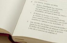 LECTURES DE LA MISSA DEL DIUMENGE QUINZÈ 15-A