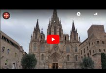 MISSA DEL DIUMENGE DE RAMS/PASSIÓ en LSC en DIRECTE des de la CATEDRAL: DIUMENGE, a les 12h.