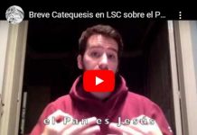 Catequesis del Papa: INTERPRETADAS y subtituladas