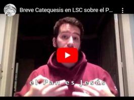 Catequesis del Papa: INTERPRETADAS y subtituladas