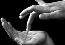 PROGRAMA Activitats del PRIMER trimestre del curs 2025-26