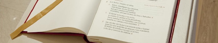 LECTURAS DE LA MISA DEL DOMINGO TRIGÉSIMO PRIMERO 31-A